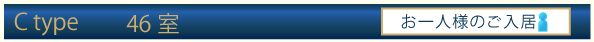 C typeお一人様のご利用費用
